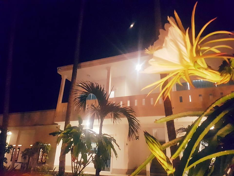 Bien Dua Backpacker Hotel Phan Thiet Exterior photo