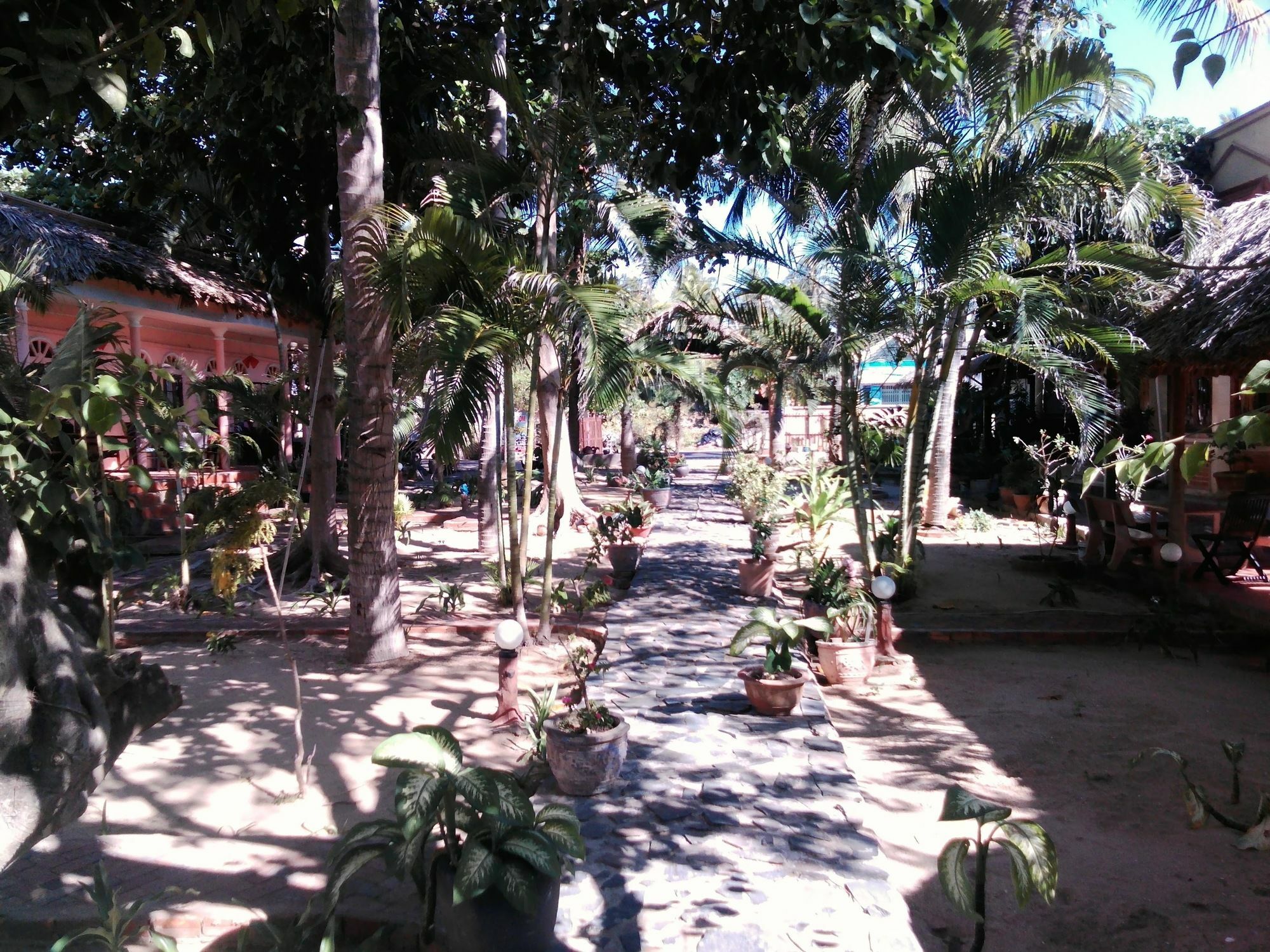 Bien Dua Backpacker Hotel Phan Thiet Exterior photo