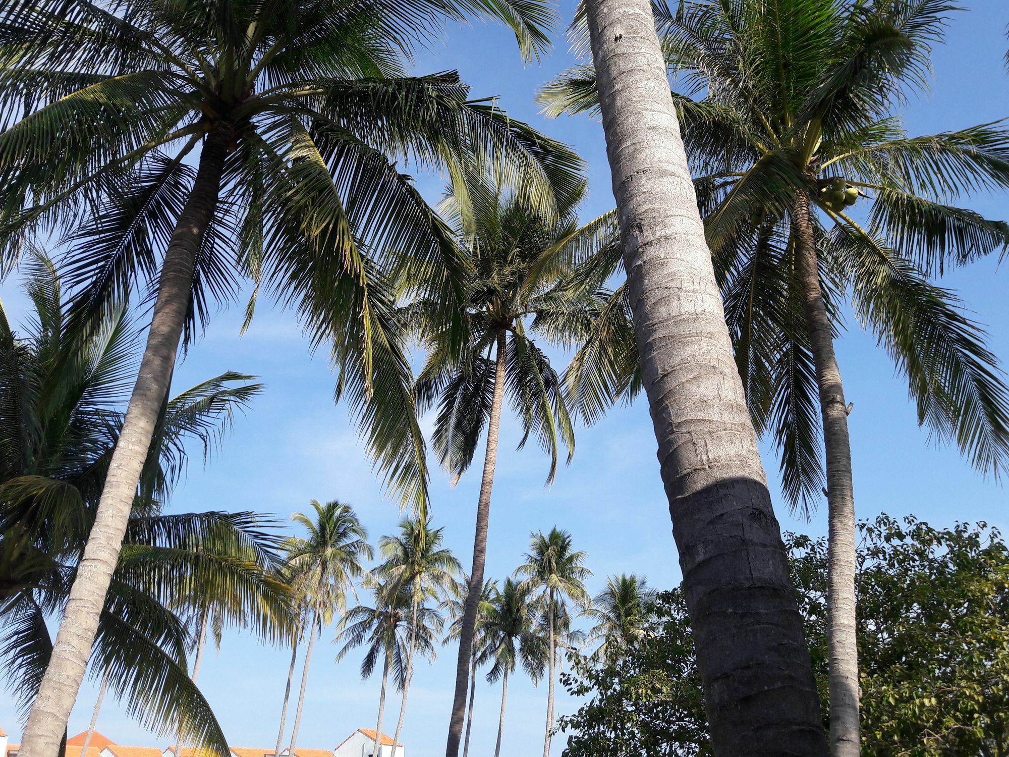 Bien Dua Backpacker Hotel Phan Thiet Exterior photo